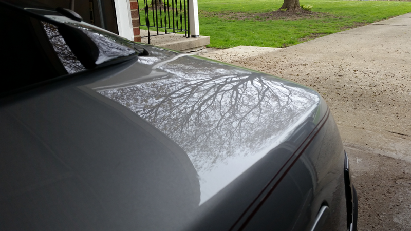 Top of the driver’s rear quarter, showcasing one of the red maple trees in my front yard.
